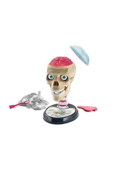 Enseb 64322 Crazy Anatomy - Science and Play / Ages +7