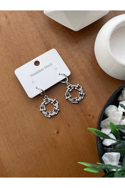JELLY Women's Steel Zircon Stone Ti̇ff Co Hoop Model Modern Dangle Earrings