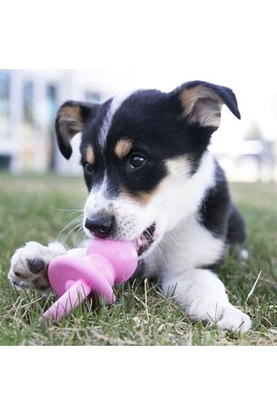 STOREMAX Kong Puppy Teething Pacifier Puppy Dog Toy Medium 13.5 Cm