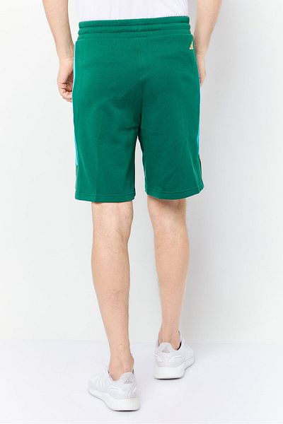 adidas Men Sportswear Fit Outdoor Shorts, Green