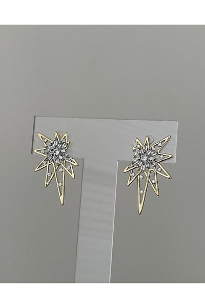 JELLY Women's Steel Gold Color Shiny Zircon Stone Geometric Star Model Design Modern Earrings