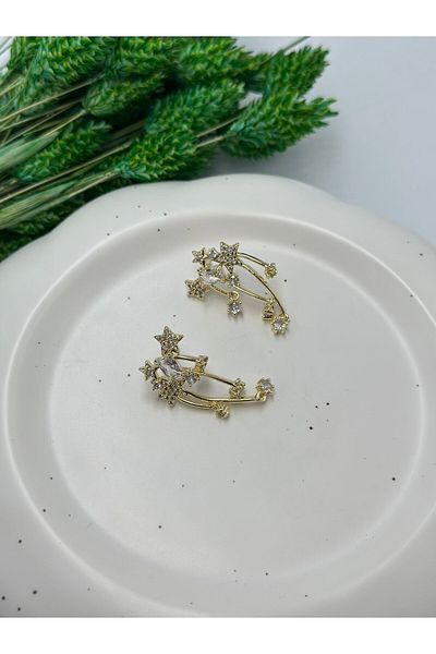 MyladyAccessoriess Zircon Stone Detailed Star Steel Earrings