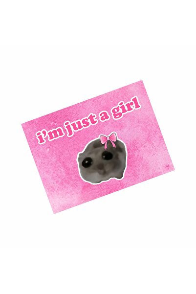 hediyenebak مغناطيس سيارة بتصميم خاص من I'm Just A Girl مقاس 15x20 سم