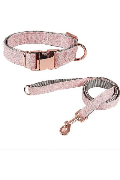 EvrikaUnity Set Zgarda cu Lesa 1,25m pentru caini, Stil Casual, Circumferinta ajustabila gat 45-65 cm, L, Roz