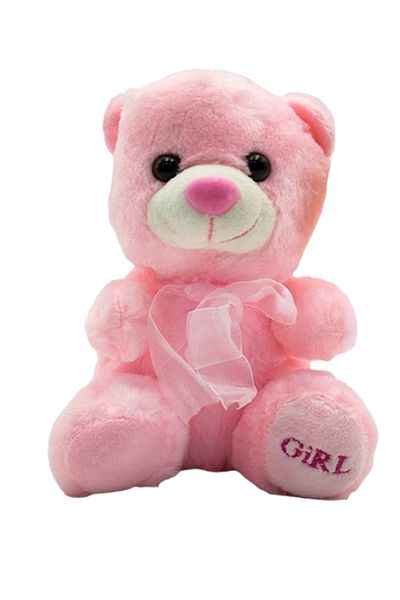 rexa Pink Teddy Bear with “GIRL” Embroidery – 23 cm x 17 cm Mini Plush Toy