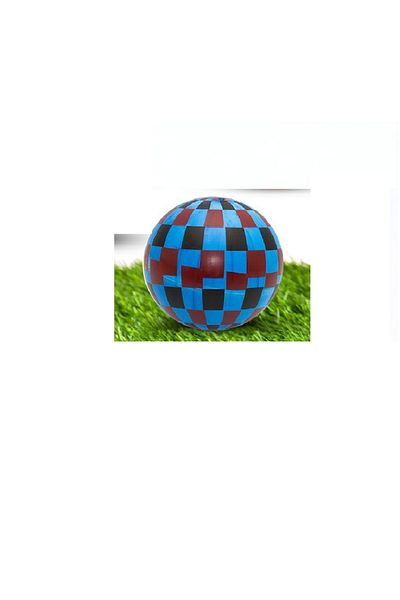 rexa Plastic Ball For Kids