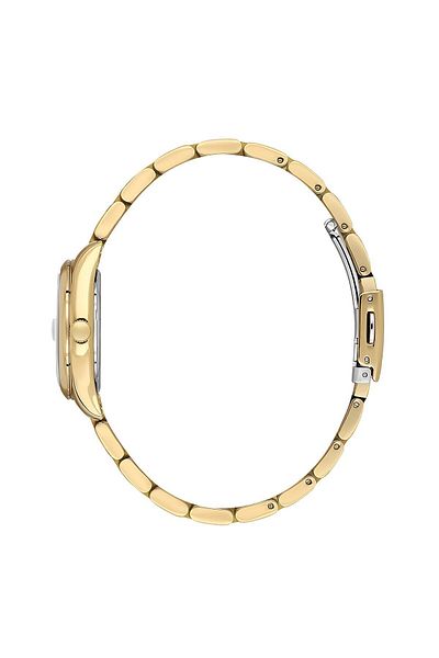 Daniel Klein Silver-Gold Steel Cord, Green Inside, Waterproof, Classic Women's Wristwatch-3