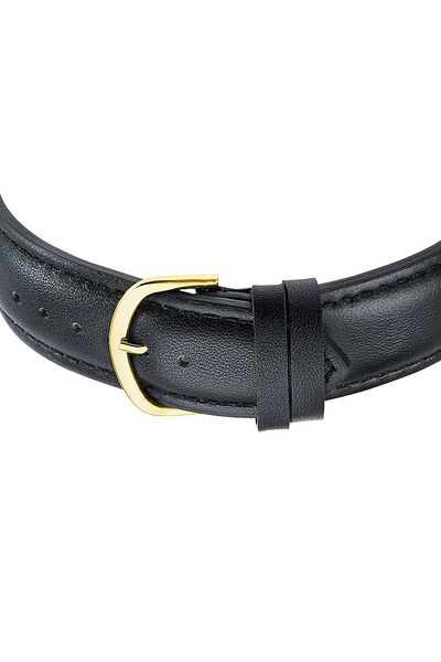 Master Time Mens Watch Master Time MTGA-10940-12L, Quartz, 43mm, 3ATM