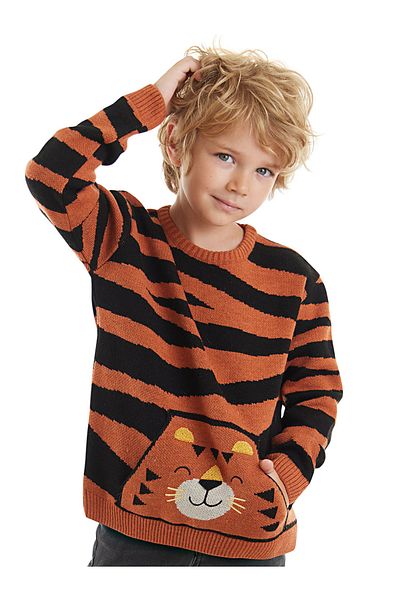Denokids Πουλόβερ Tiger Boy καφέ