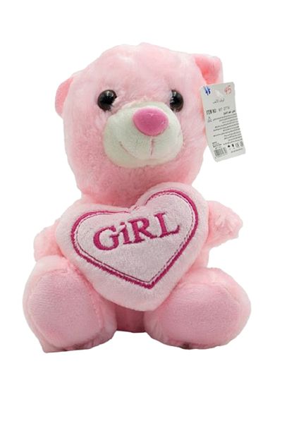 rexa Pink Teddy Bear with “Girl” Heart – Soft Plush Gift Toy | 23 x 17 cm Mini Stuffed Bear