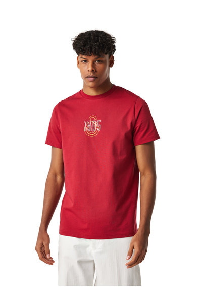 GSStore Galatasaray Erkek T-Shirt E251059