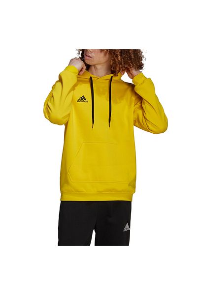 adidas Entrada 22 Sweat Hoodie, Men's Hoodie