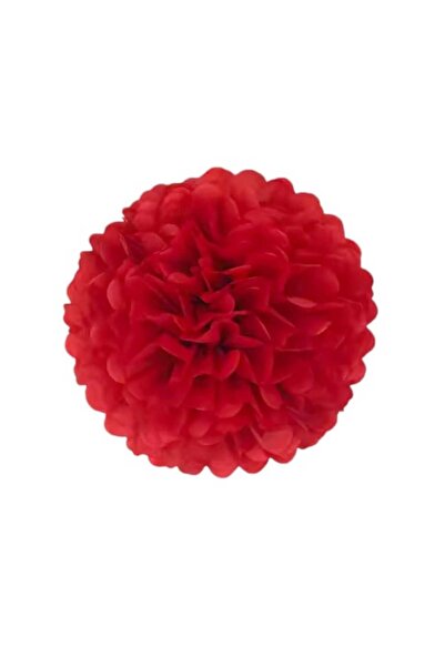 Party and Story زينة ورد ورقية لتزيين الحفلات، لون أحمر غامق، قياس 6 بوصات