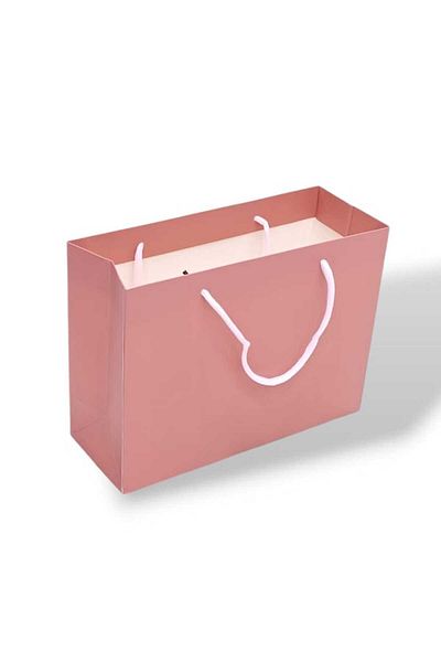 Party and Story Pink 3-piece carton gift bag Size 26Ã—12Ã—32CM
