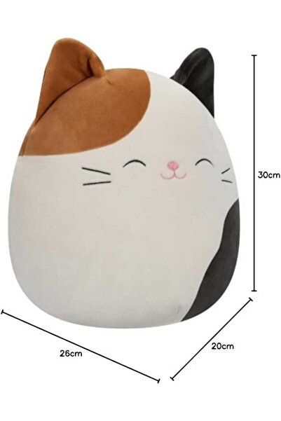 Squishmallows Kedi Cam 30cm