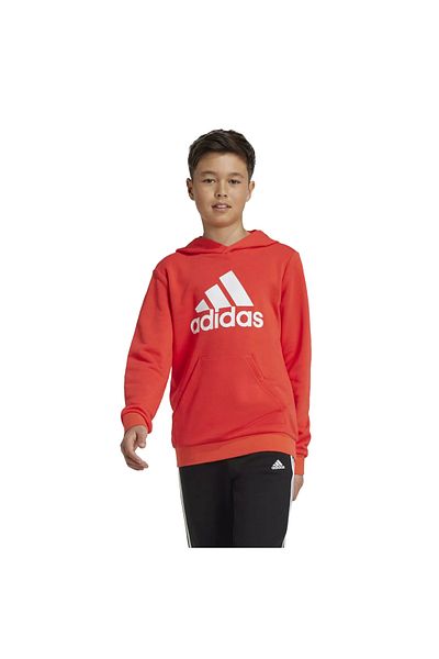adidas Big Logo Jr Hoodie, Kids Hoodie