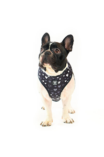 Famous Frenchie Dog Harness, Reversible, , Black Hearts