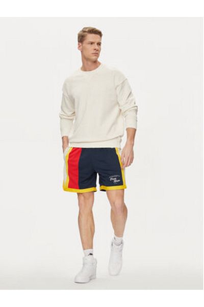 Puma puma Men's Sports Shorts 624744 Colorful