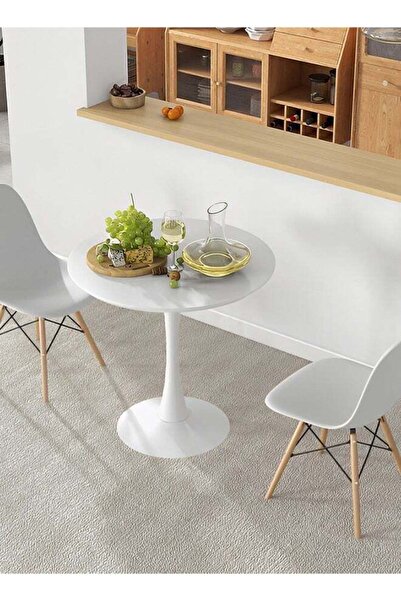 Taimi Round Dining Table Elegant Plastic 100x100x73Cm Coffee Table for Living Room, Dining Room, White