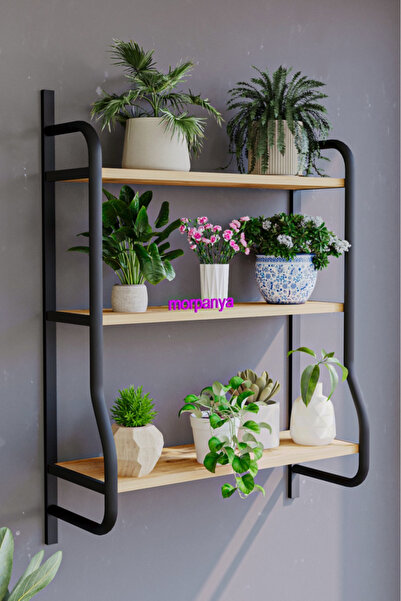 Morpanya Pony Çiçeklik Çiçek Rafı Duvar Çiçek Rafı Saksı Düzenleme Çiçek Peyz...