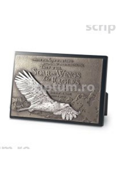 Editura Scriptum Placa mica în relief - Vulturul care zboară