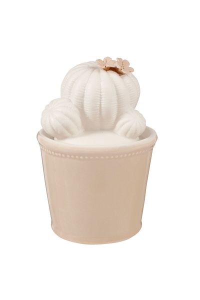 Clayre & Eef Decorative Ceramic Jar for Condiments White Beige Cactus 9x14 cm