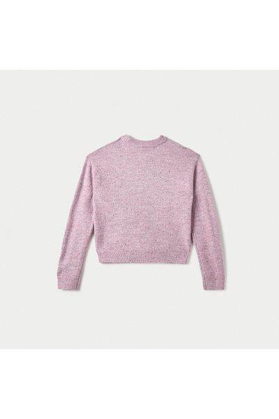 Juniors Textured Sweater With Long Sleeves And Crew Neck
