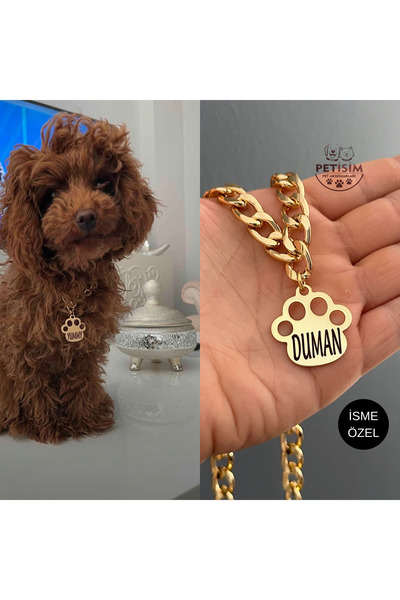 PETİSİM PET AKSESUARLARI Köpek Tasması Zincirli Künye Isimli Tasma Paslanmaz Kararmaz Çelik