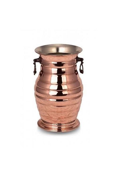 Tanemce Hyacinth Vase Red Vase Flower Pot with Straight Handle