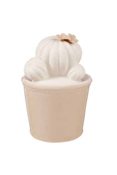 Clayre & Eef Decorative Ceramic Jar for Condiments White Beige Cactus 9x14 cm