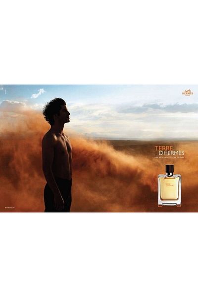 Hermes Terre D'Hermes, Men, Eau de Toilette, Eau de Toilette, 100 ml