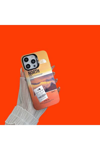 THE NORTH FACE The North Face case, compatible with Iphone 16 PRO, MOUNTAIN