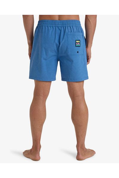 BİLLABONG Billabong Every Other Day Lb Ανδρικό σορτς Ebyjv00145