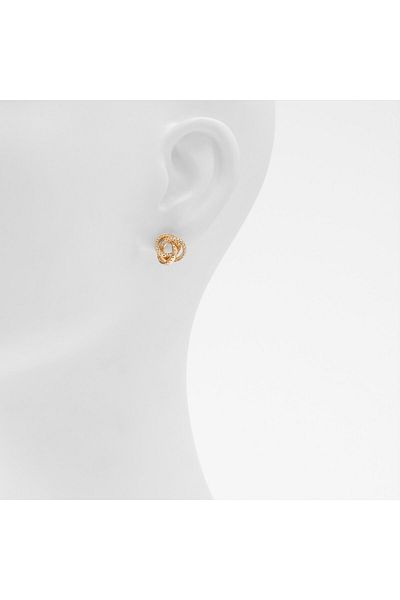 Aldo Vohan - Women's Gold/Transparent Earrings