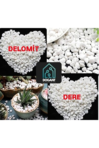 dogant özdoğanlar avm Beyaz Dolomit Tararyum Fanus Saksı Dere Çakıl Taşı 2 Kg