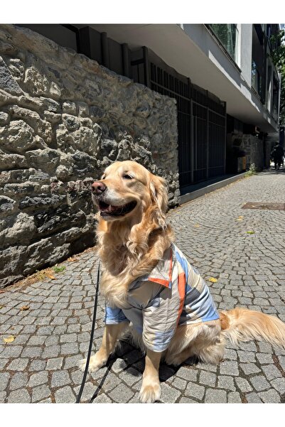 TofiTowel Büyük Irk Köpek Gömlek