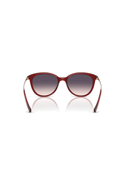 Vogue Vo5647si 233936 53 sunglasses