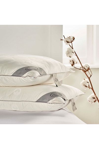 Linens Fluffy Cotton Standard Pillow