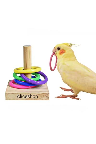 aliceshop Bird Intelligence and Skill Toy