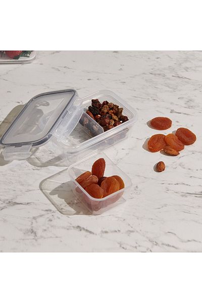 ASPARTAM Fresh Box Rectangular Compartment Storage Container - 400 ml