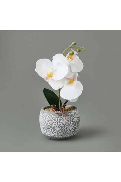 Genel Markalar Etnik Desenli Beton Saksı Real Touch Orkide - Asorti - 28x12x1...