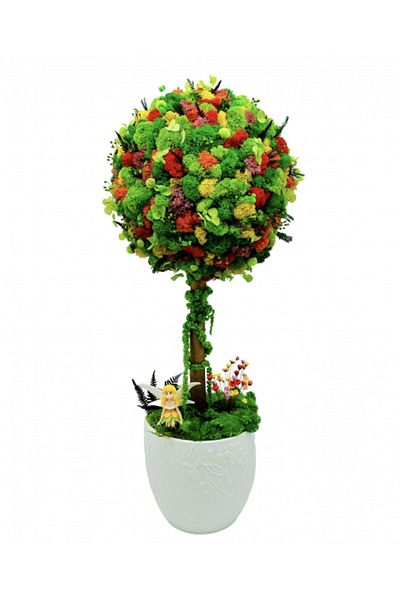 OEM Pomisor cu licheni stabilizati, plante criogenate si muschi stabilizati, Verde, 55 cm, vaza ceramica