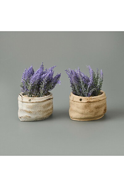 Genel Markalar Çuval Saksıda Kır Lavantası - - 13x9x9 cm