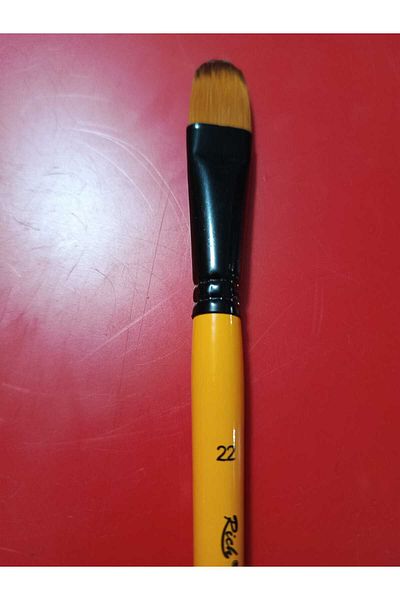 Rich 220 Series Cat Tongue Brush No:22 Short Handle