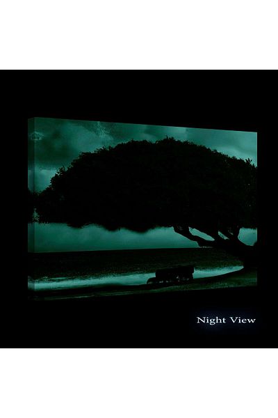 startonight Tablou DualView Startonight Banca Sub un Copac Rosu , luminos in intuneric, 80 x 120 cm