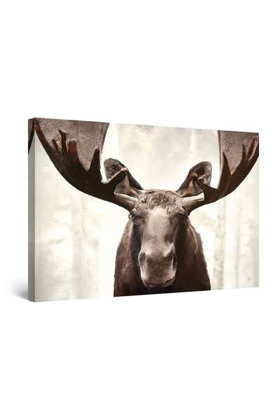 startonight Tablou DualView Startonight Elan Maro, luminos in intuneric, 80 x 120 cm