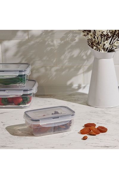 ASPARTAM Fresh Box Rectangular Compartment Storage Container - 400 ml