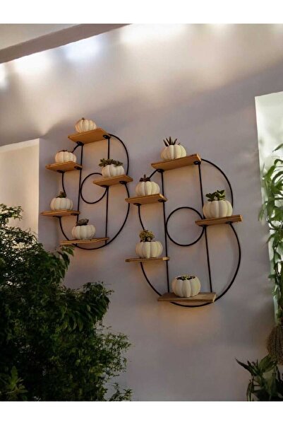 EM&MA DESİNG EM&MA 10'lu Kabak Sukulent Kaktüs Saksısı - Dekoratif Saksı