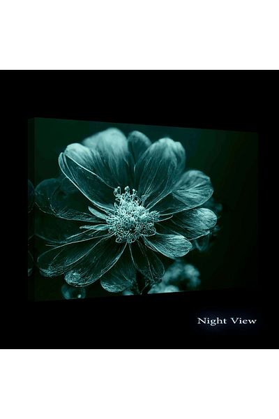 startonight Tablou DualView Startonight Floare Suava Turqoise, luminos in intuneric, 60 x 90 cm