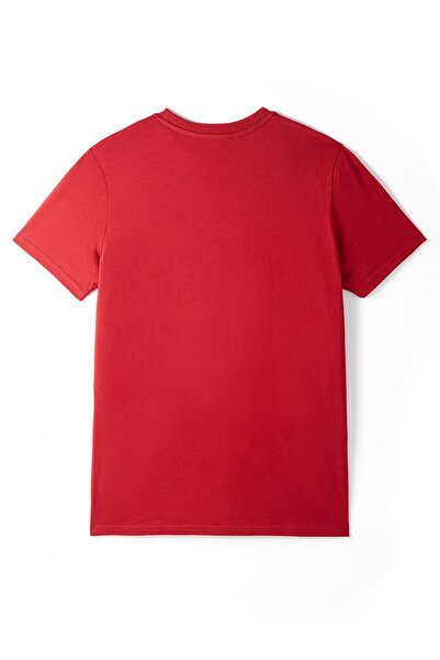 Galatasaray Lisanslı 5 Yıldızlı Yetişkin T-Shirt Hediye Aslan Ahşap Kutulu